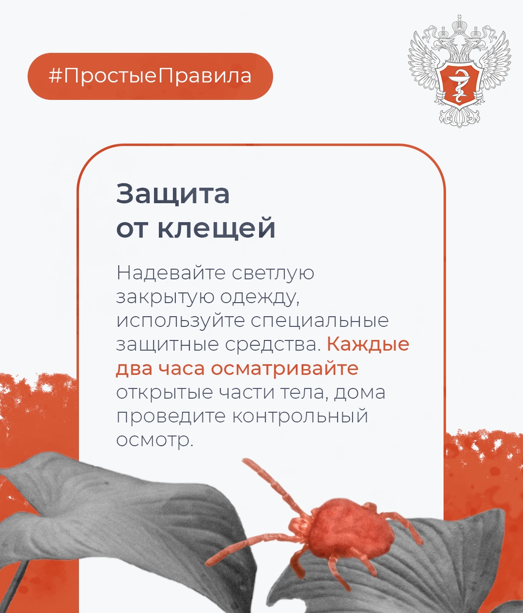 #ПростыеПравила: Как провести майские праздники без вреда для здоровья