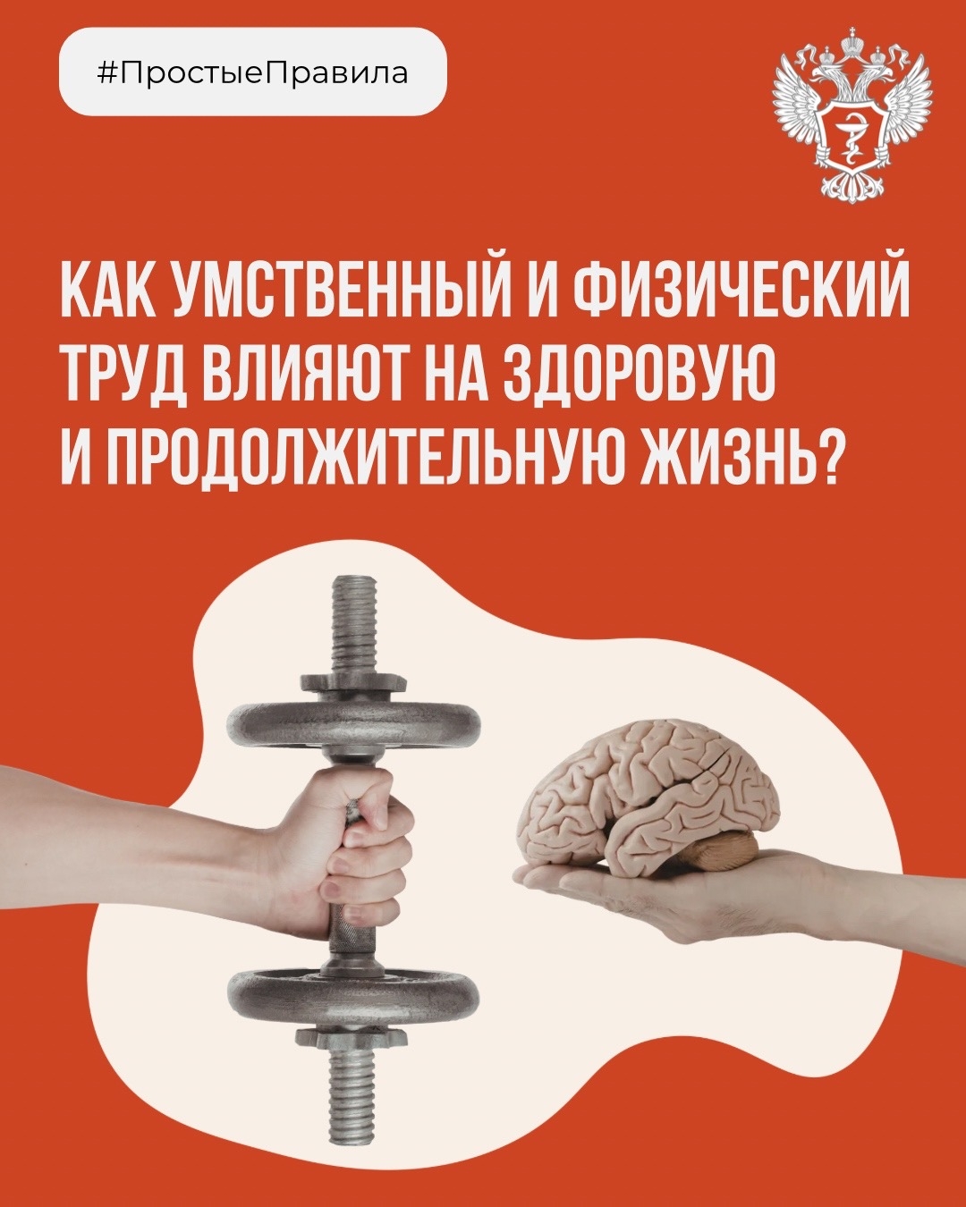 #ПростыеПравила: Как умственный и физический труд влияют на здоровую и продолжительную жизнь?