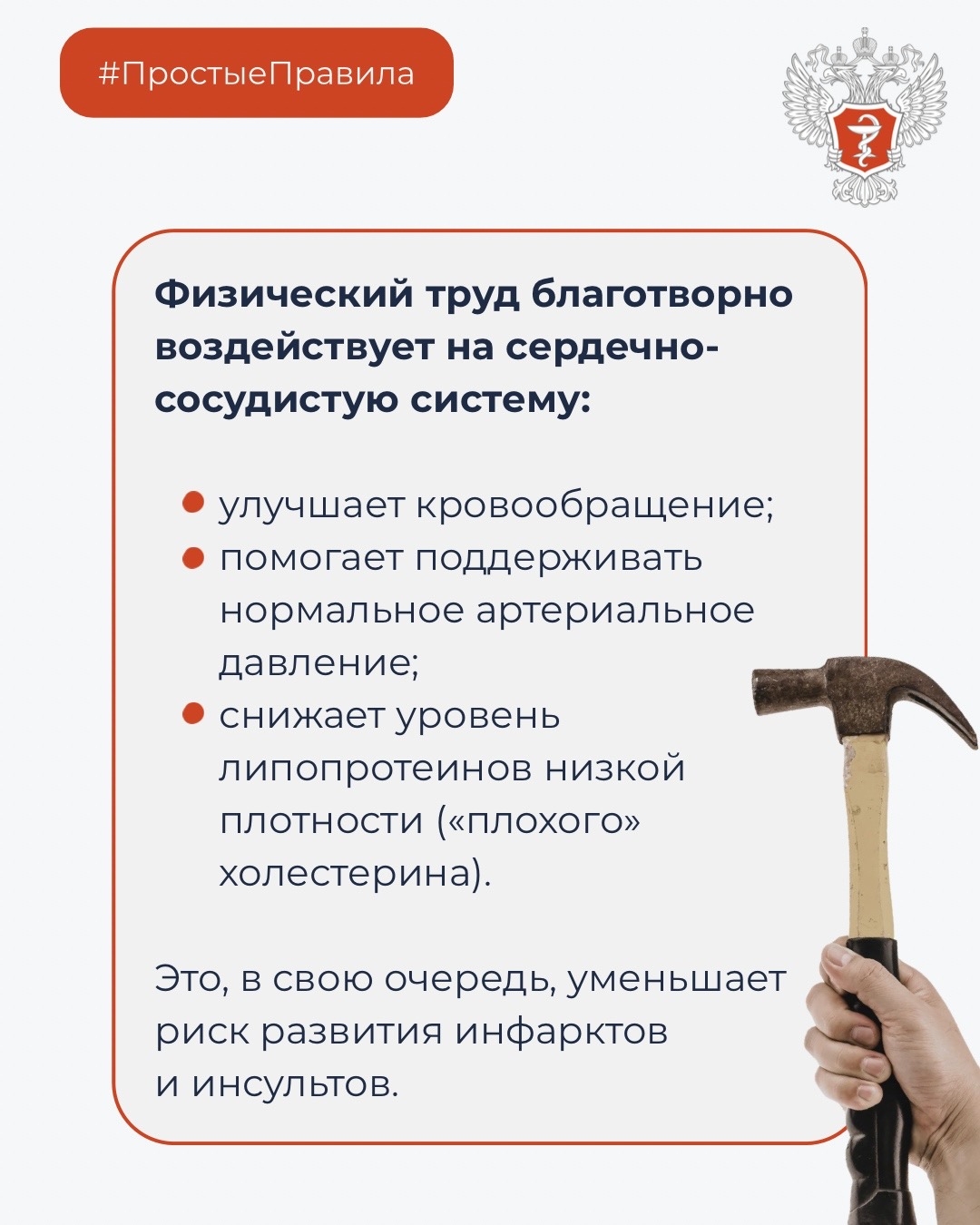 #ПростыеПравила: Как умственный и физический труд влияют на здоровую и продолжительную жизнь?