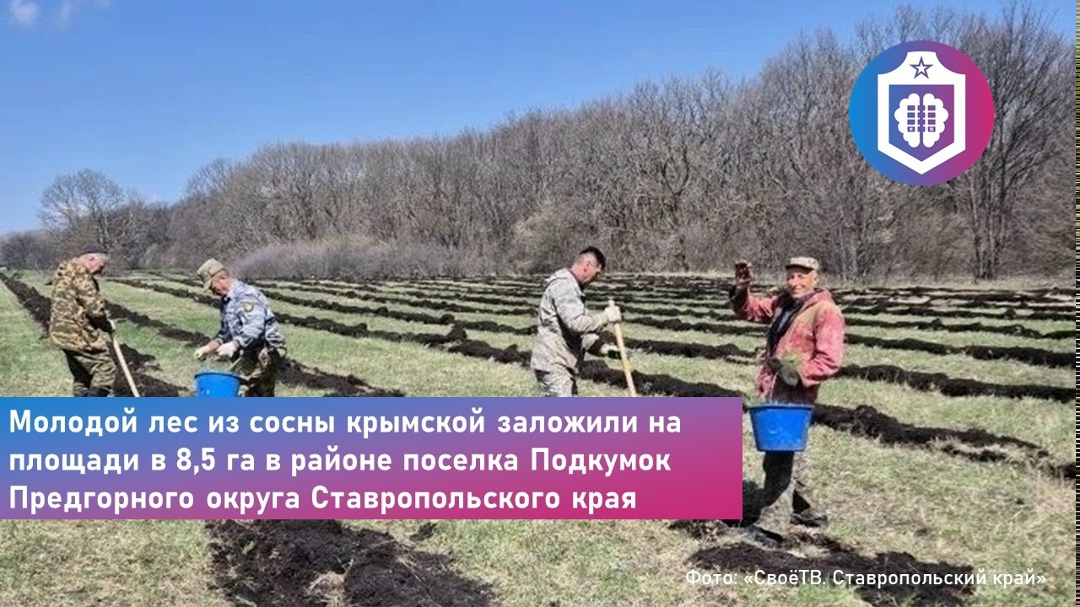 #Когнитивная_Витаминка Выпуск № 330 02.05.2026