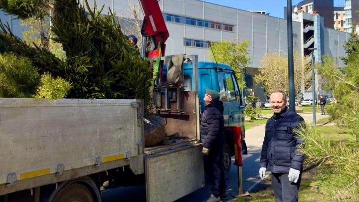 Шелест большого дела Всенародным стал экопроект «Создаём новый лес — 35 тысяч деревьев», посвящённый 35-летию ЛУКОЙЛа