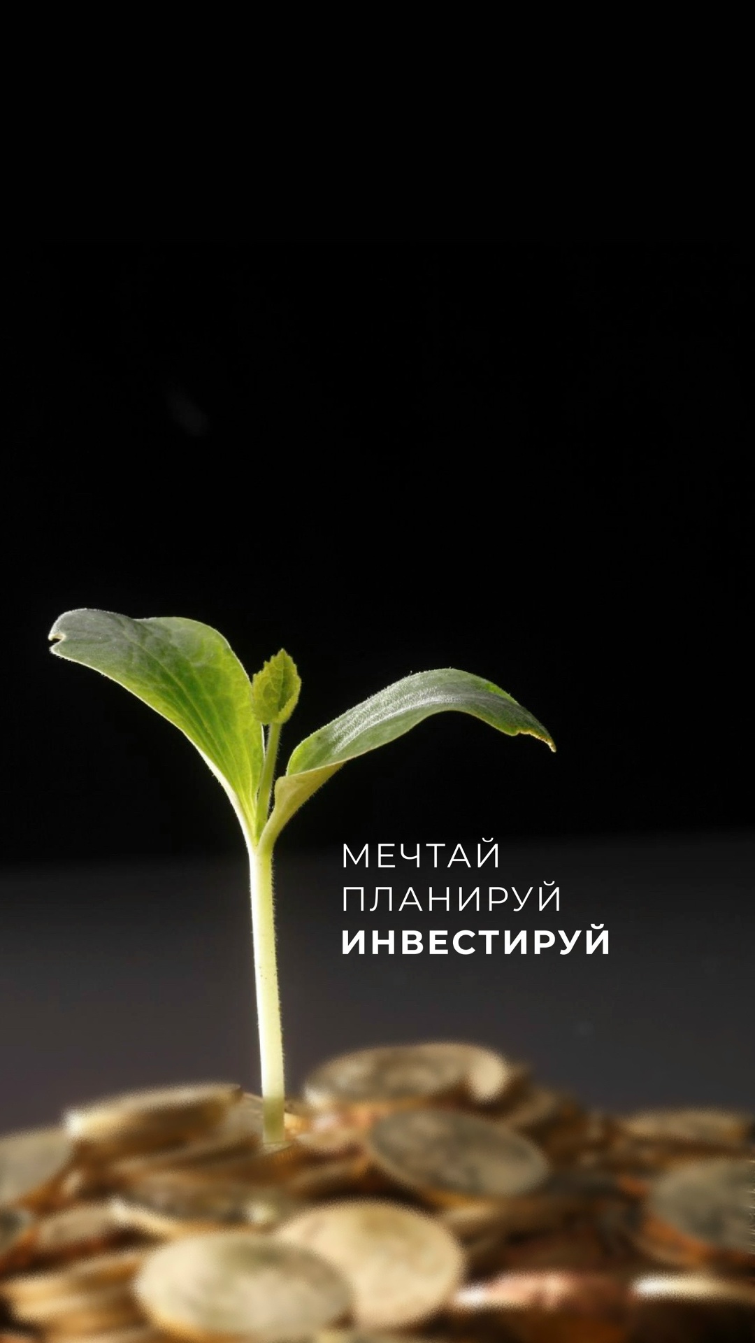 Продолжаем делиться с вами обоями на телефон
