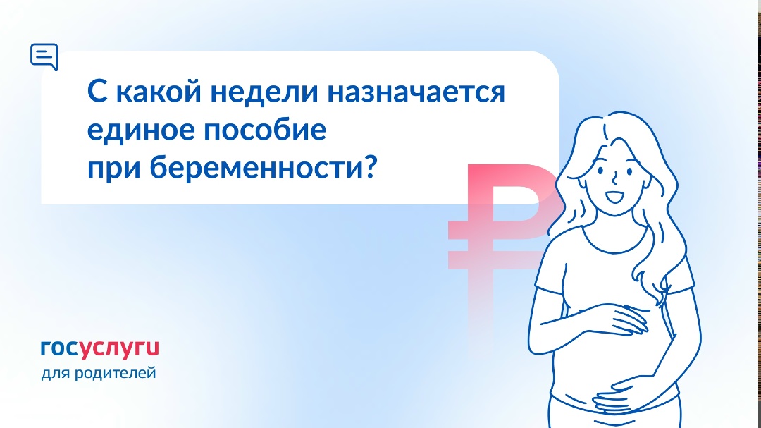 Когда можно подать заявление на единое пособие при беременности и за какой период оно выплачивается?