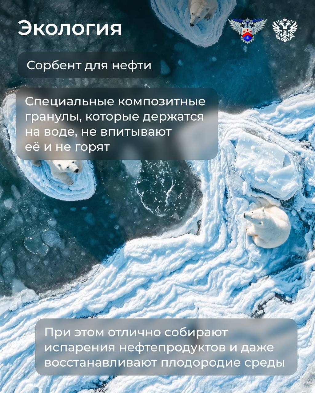 За окном снова тепло. — А можно опять прохладу? — Можно. А зачем? — Затем, чтобы рассказать об Арктике — о месте, где свежо по-настоящему.