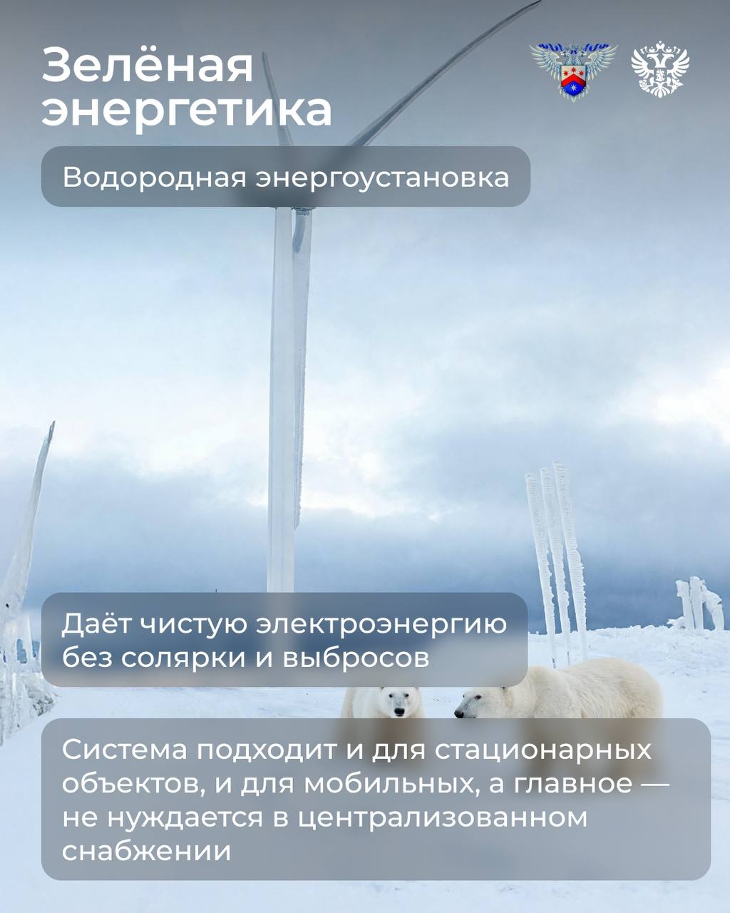 За окном снова тепло. — А можно опять прохладу? — Можно. А зачем? — Затем, чтобы рассказать об Арктике — о месте, где свежо по-настоящему.