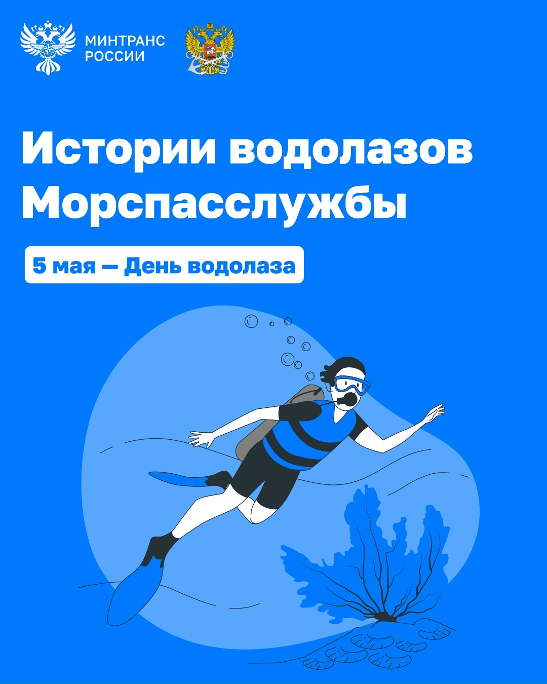 Сегодня отмечается День водолаза! На поверхности виден только результат, а за ним — сложная, точная и по-настоящему ответственная работа водолаза