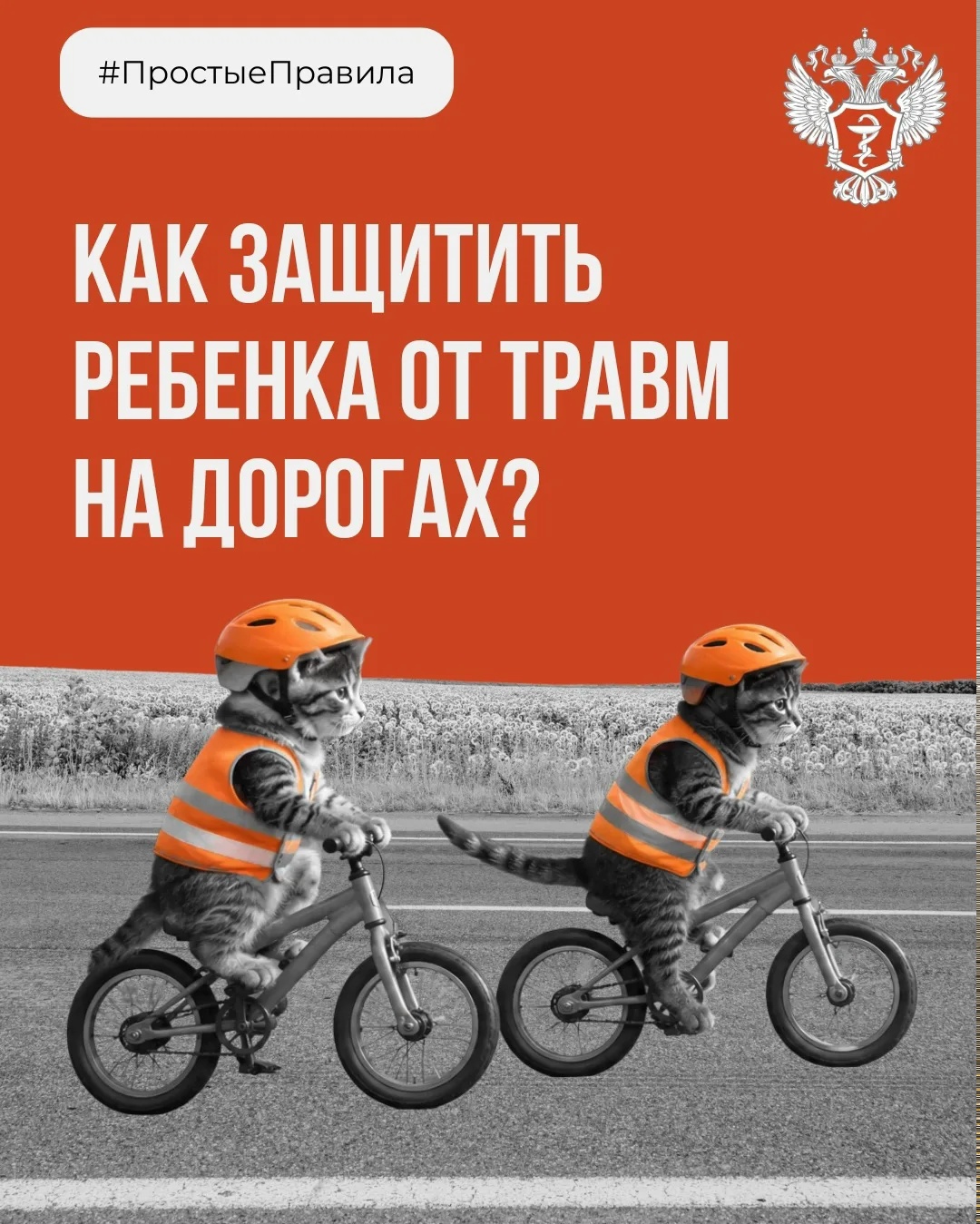 #ПростыеПравила: Как защитить ребенка от травм на дорогах?
