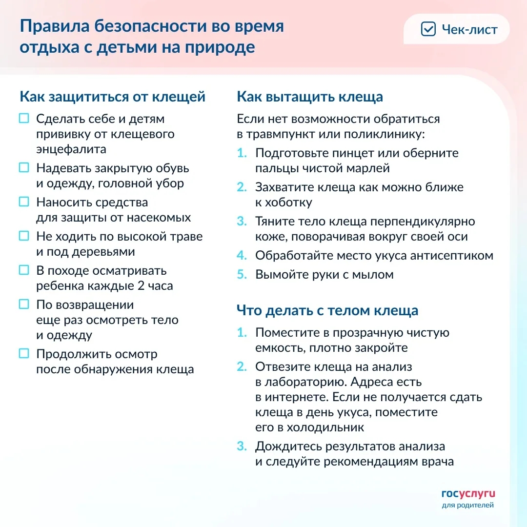 Позаботьтесь о безопасности во время отдыха с детьми на природе