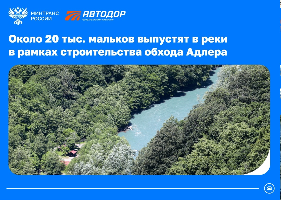 Строим дороги и сохраняем природу В Краснодарском крае продолжается строительство обхода Адлера