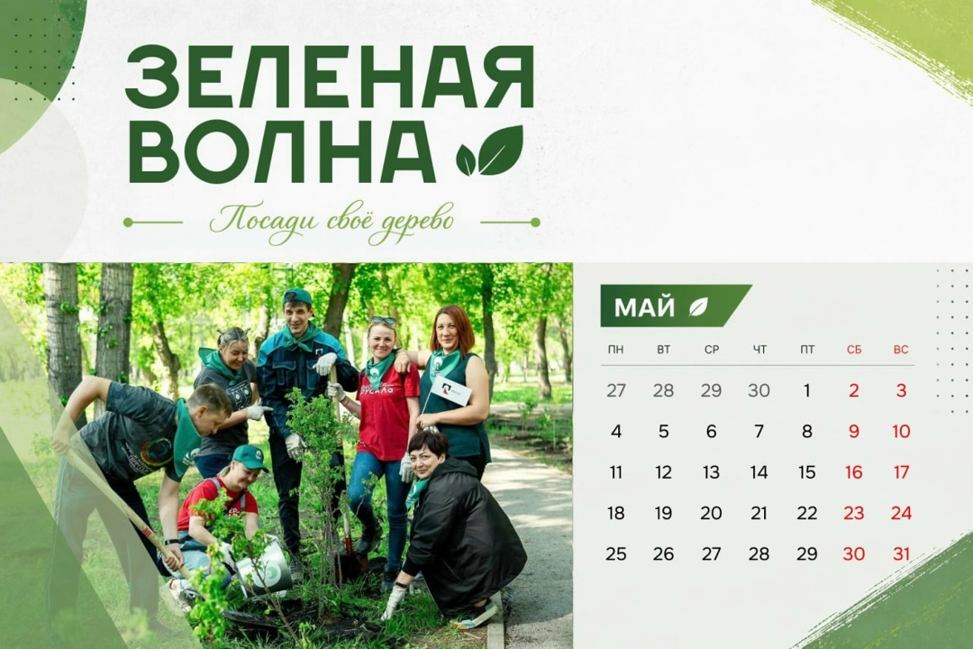 Этот волонтерский проект мы особенно любим. Почему? Ответ прост: деревья и кустарники делают наши города красивыми и приятными для жизни