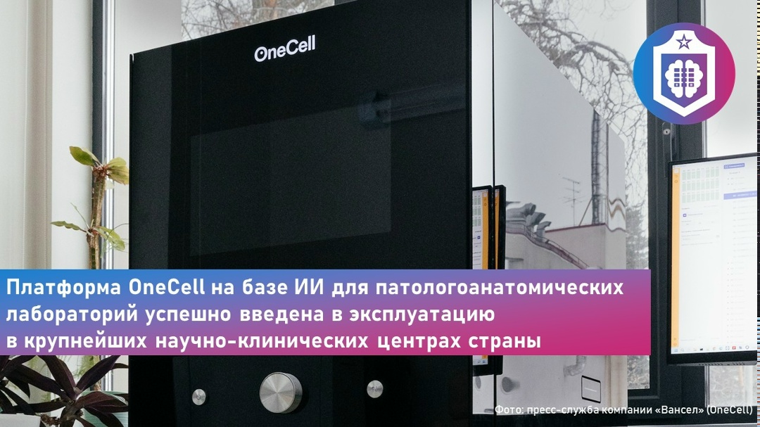 #Когнитивная_Витаминка Выпуск № 333