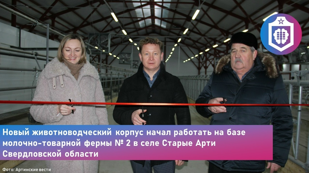 #Когнитивная_Витаминка Выпуск № 333