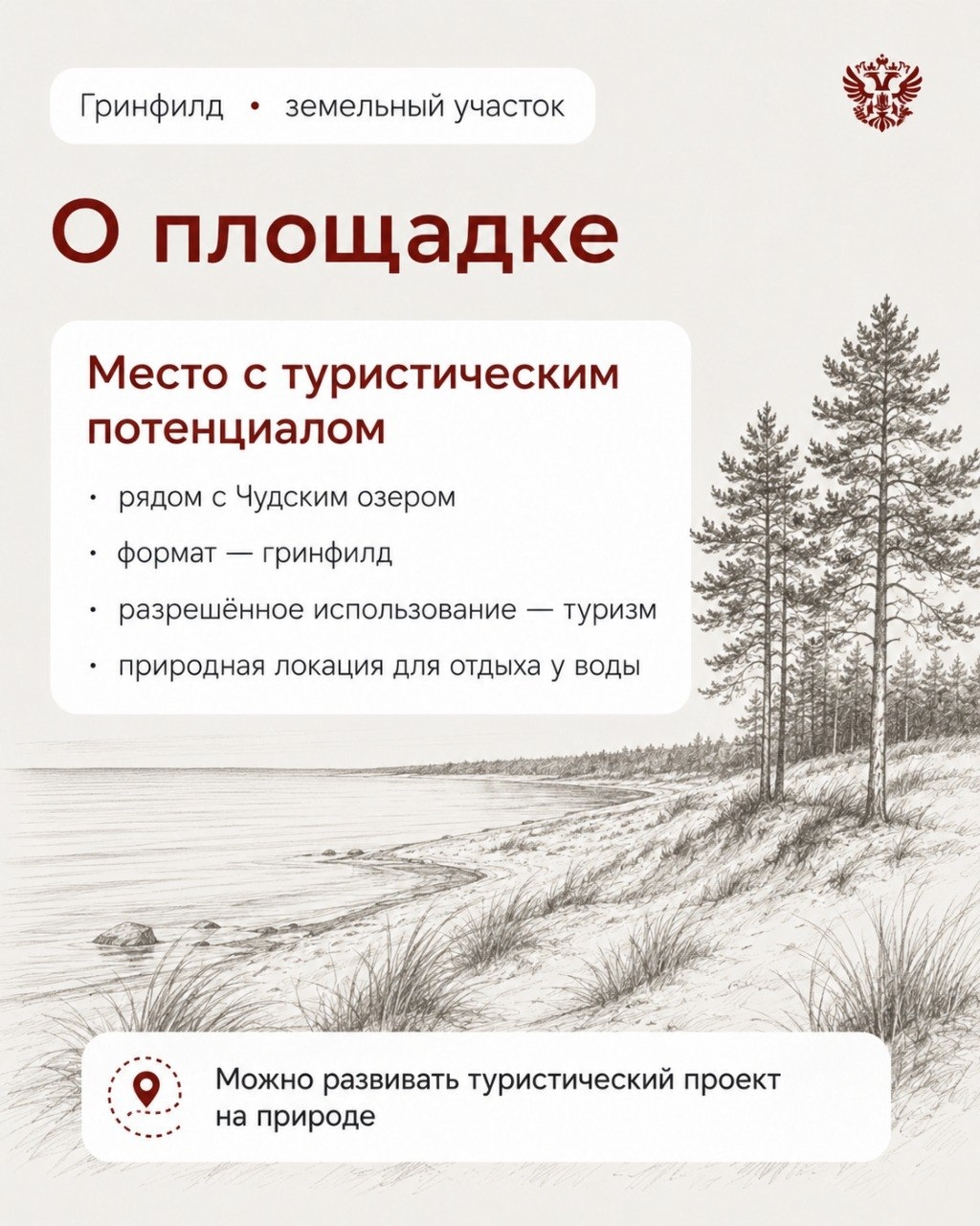 Кажется, у нас тут чудо-локация Чудское озеро — это не только школьная история и красивые виды