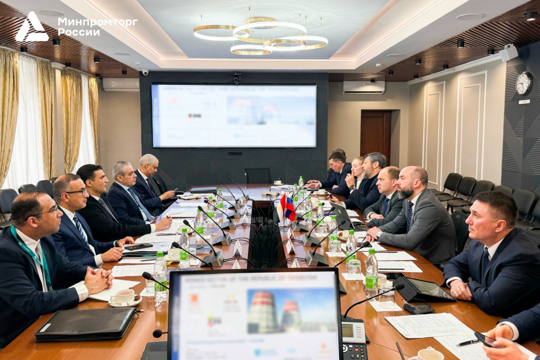 Обозначены приоритетные отрасли для размещения в Российской промышленной зоне в Египте