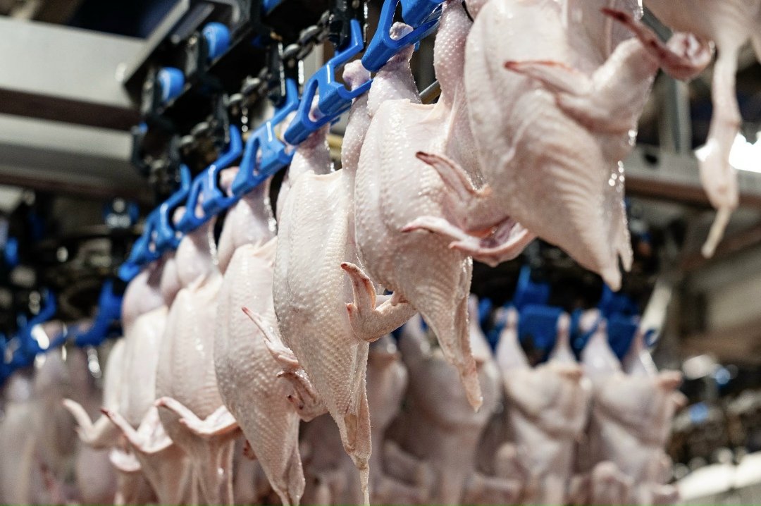 За последние пять лет Россия увеличила экспорт халяльной продукции на 86%, до $388 млн по итогам 2025 года. Об этом рассказал руководитель федерального центра…