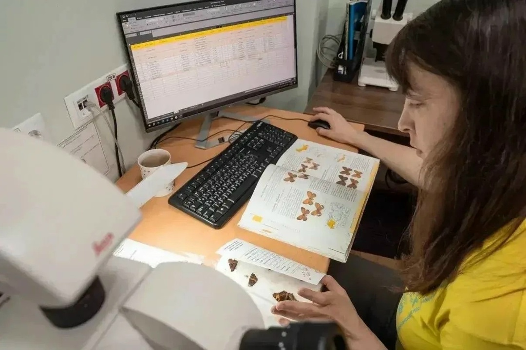 Архангельская область наращивает свой научно-образовательный потенциал.