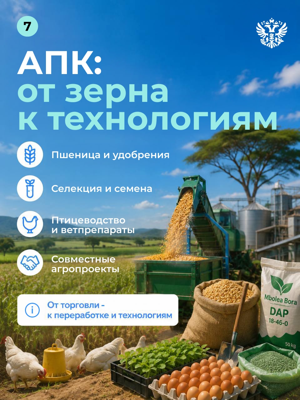 Танзания — это не только туризм и красивые пейзажи