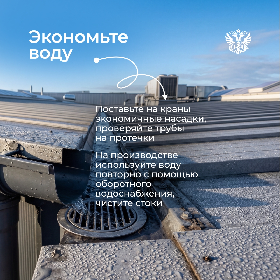 Что изменится для бизнеса, если начать внедрять зелёные принципы?
