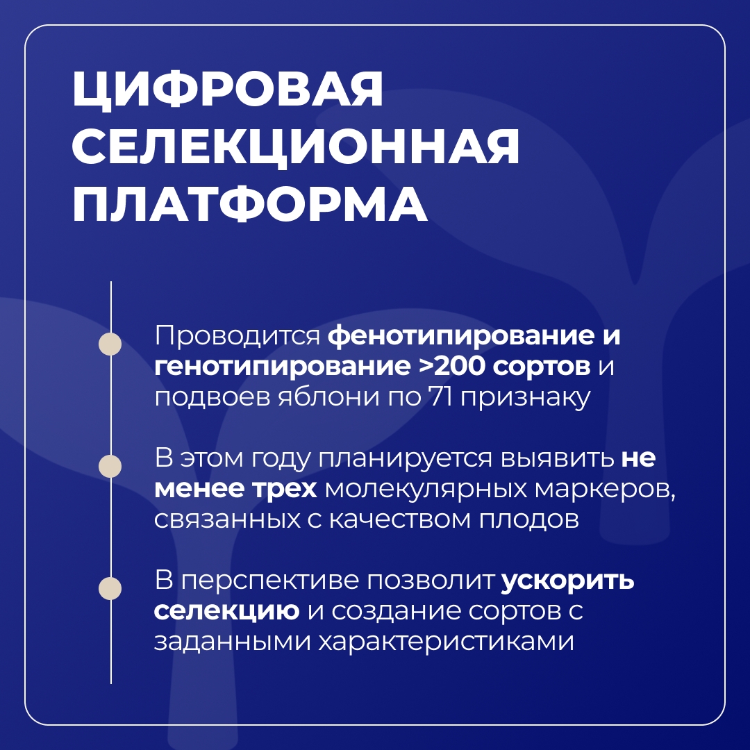 Ставропольский ГАУ реализует стратегические технологические проекты в рамках «Приоритет-2030» и Научного центра мирового уровня «Агроинженерия будущего»
