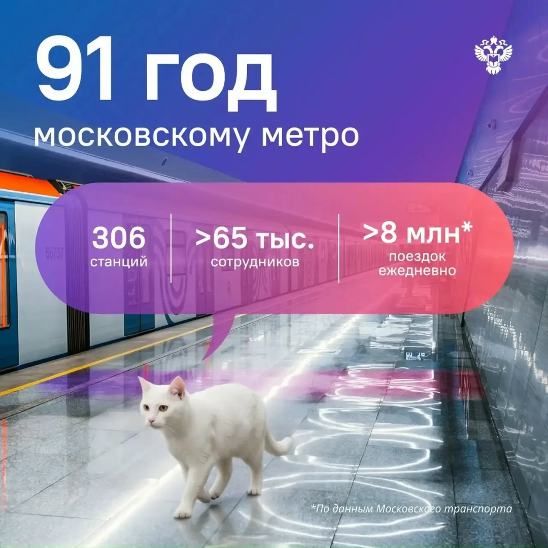 Сегодня в рубрике #Котистика рассказываю про перевозки пассажиров.