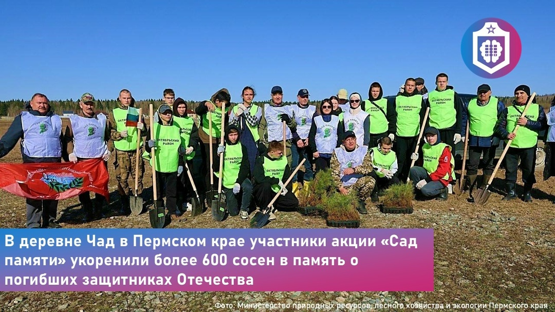 #Когнитивная_Витаминка Выпуск № 334
16.05.2026