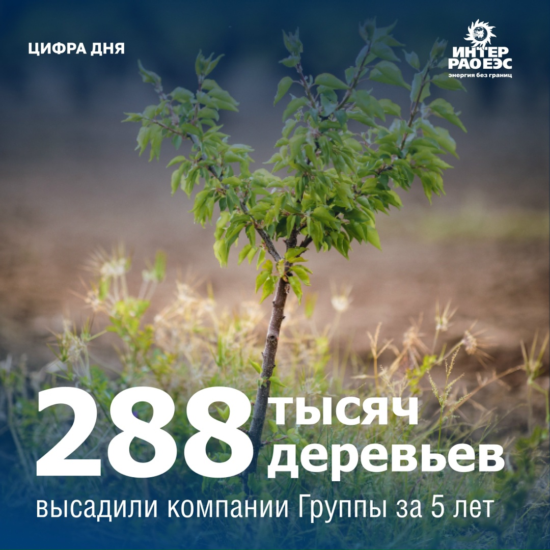 Каждое дерево на счету Более 103 тыс. деревьев высадили работники, их родные и близкие в регионах присутствия «Интер РАО» в 2025 году.