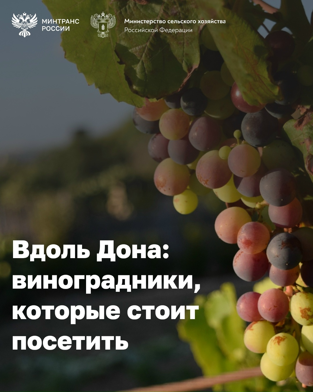 Сегодня отмечается День реки Дон Дон – одна из главных рек юга России