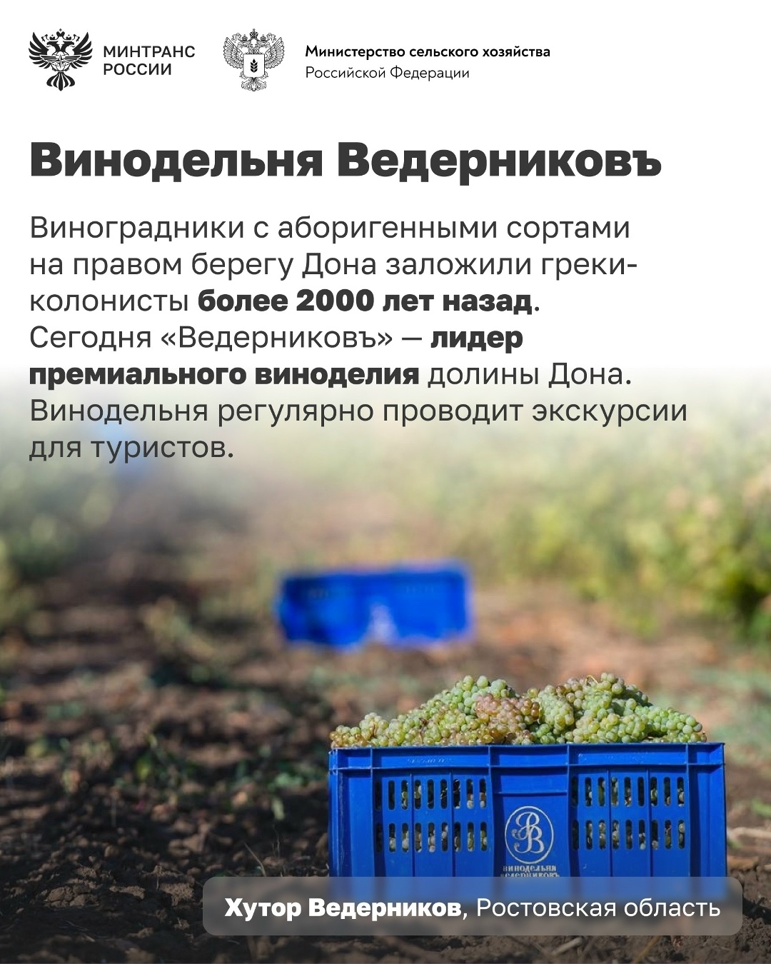 Сегодня отмечается День реки Дон Дон – одна из главных рек юга России