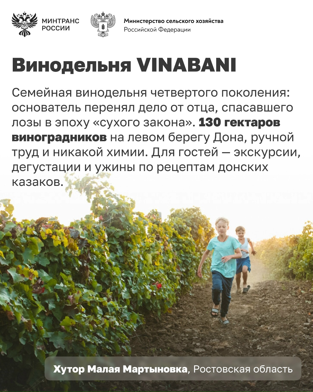 Сегодня отмечается День реки Дон Дон – одна из главных рек юга России