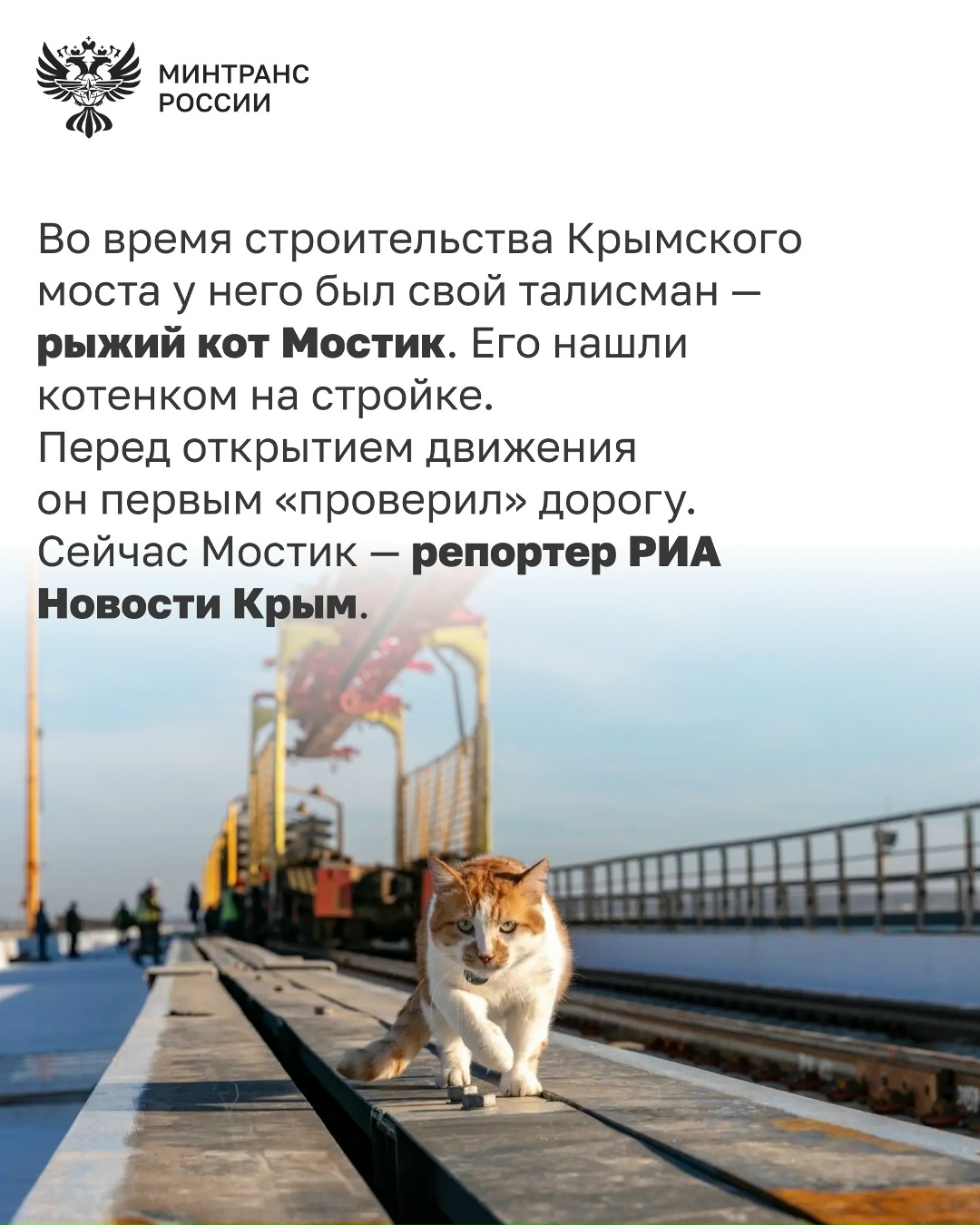 Крымскому мосту – 8 лет! В этот день в 2018 году было запущено движение автотранспорта по Крымскому мосту через Керченский пролив