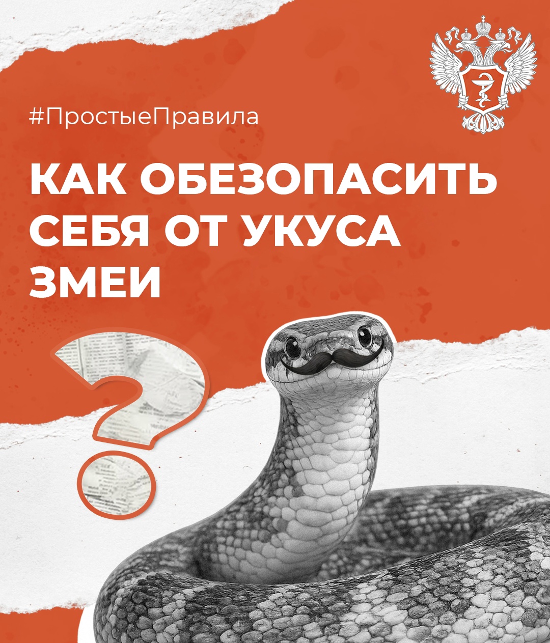 #ПростыеПравила: Как обезопасить себя от укуса змеи