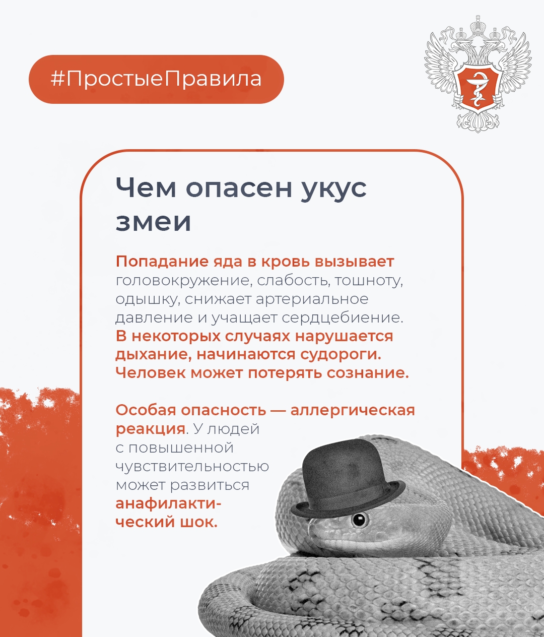#ПростыеПравила: Как обезопасить себя от укуса змеи