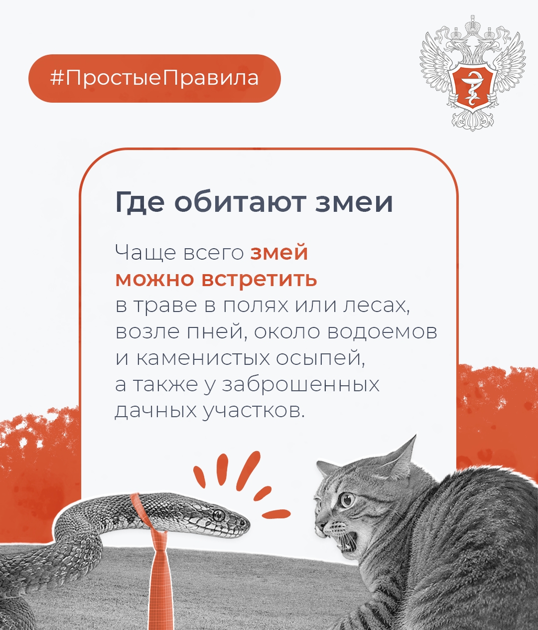 #ПростыеПравила: Как обезопасить себя от укуса змеи