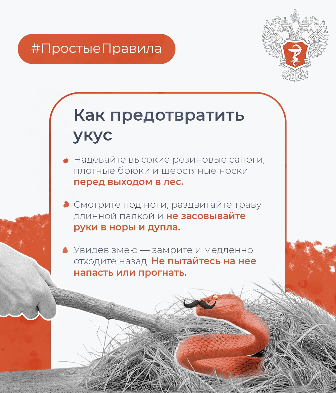 #ПростыеПравила: Как обезопасить себя от укуса змеи