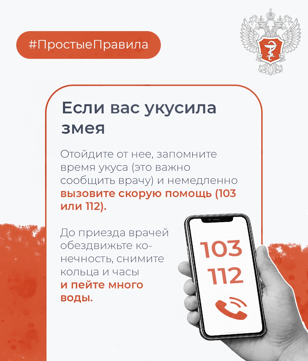 #ПростыеПравила: Как обезопасить себя от укуса змеи