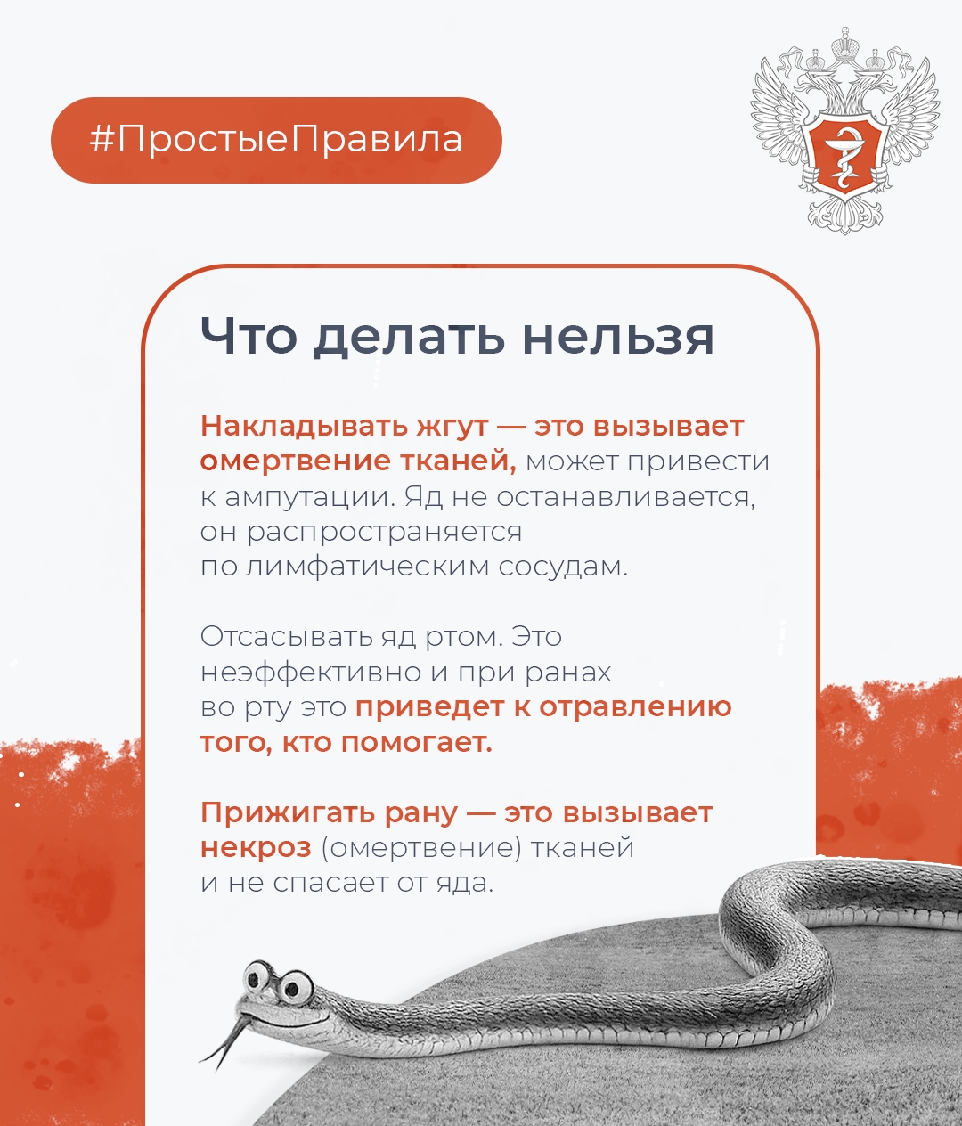 #ПростыеПравила: Как обезопасить себя от укуса змеи
