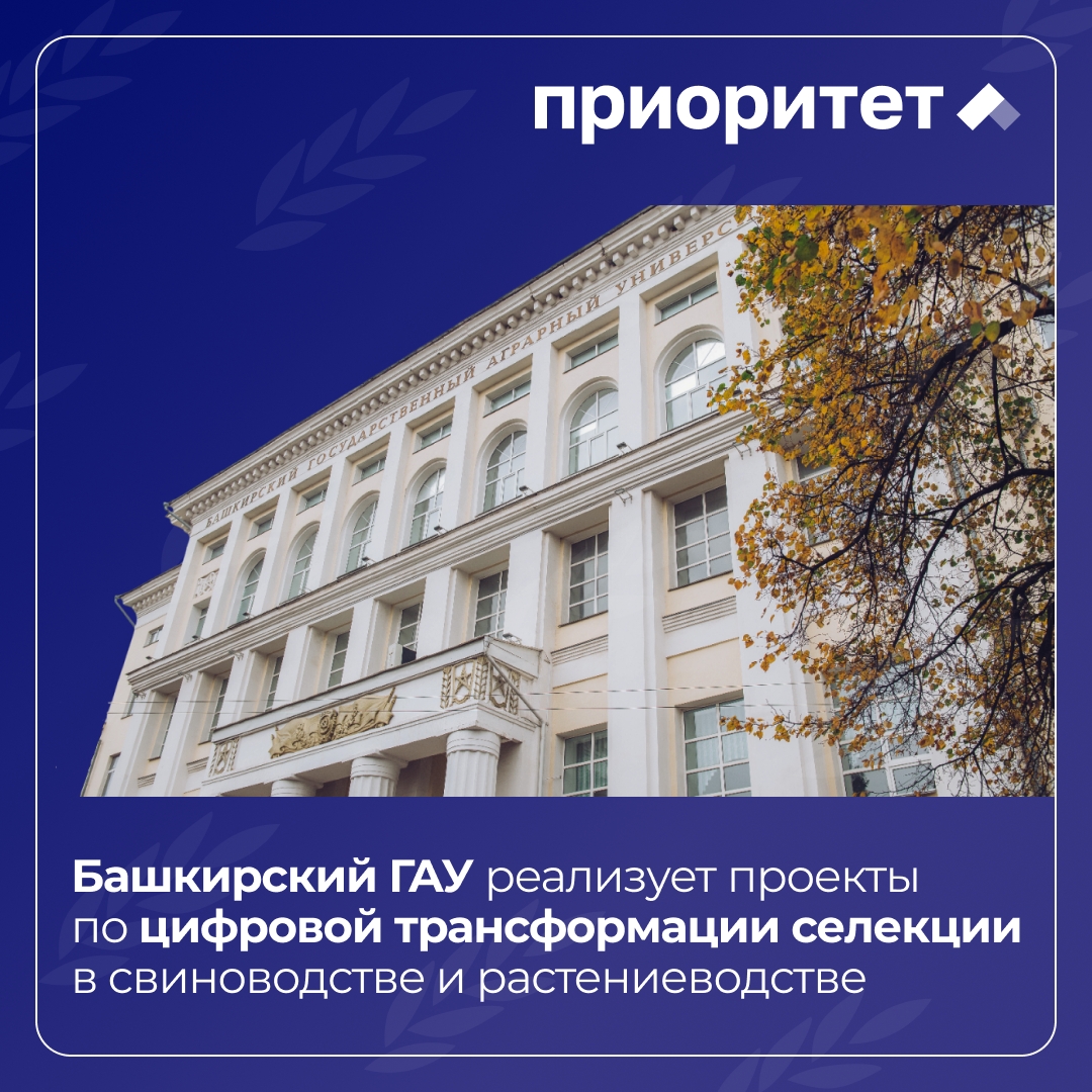 Башкирский ГАУ развивает цифровую селекцию в животноводстве и растениеводстве в рамках программы «Приоритет-2030»