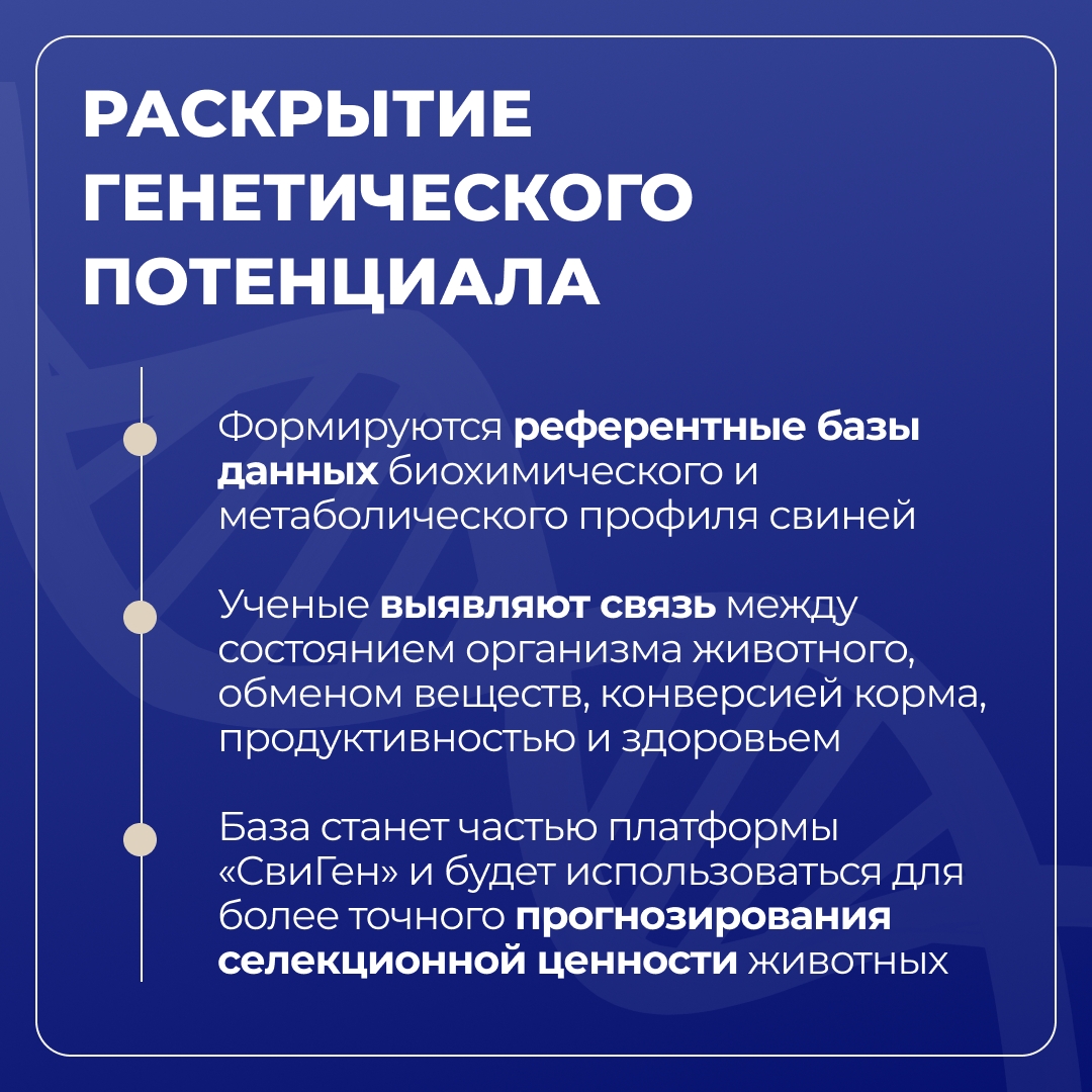 Башкирский ГАУ развивает цифровую селекцию в животноводстве и растениеводстве в рамках программы «Приоритет-2030»