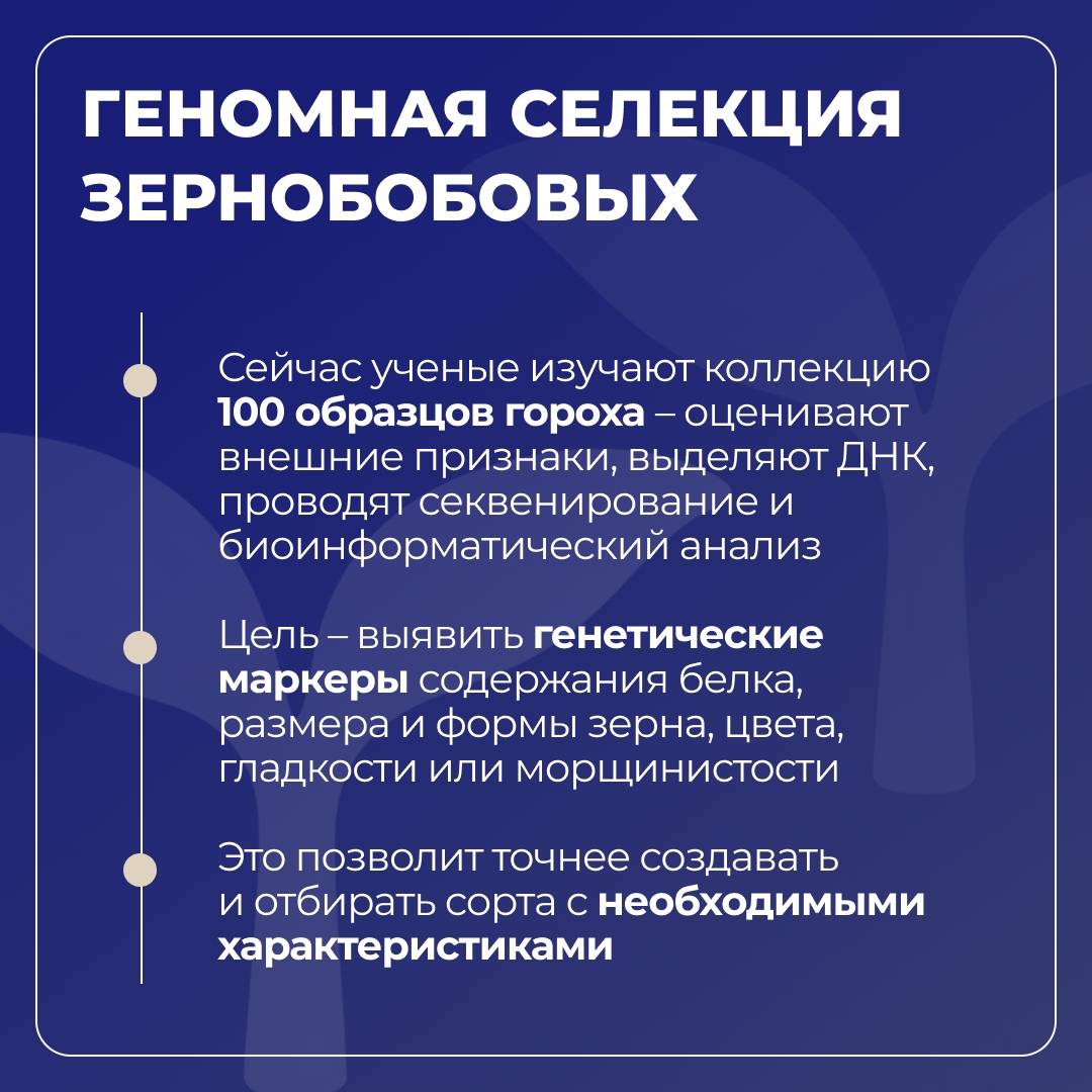 Башкирский ГАУ развивает цифровую селекцию в животноводстве и растениеводстве в рамках программы «Приоритет-2030»