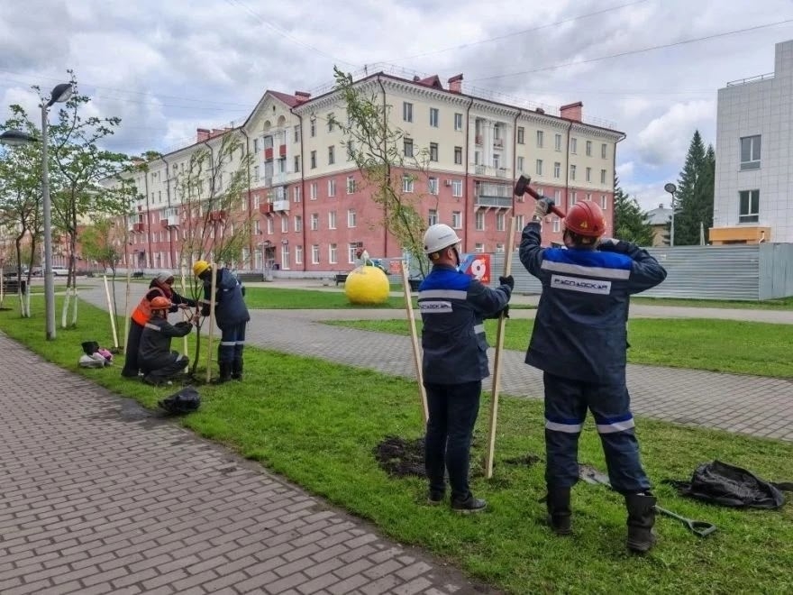Ивы, сосны и сирень! Мы вновь поддержали акцию «Сад Памяти». В этом году Распадская высадит около 200 молодых деревьев и кустарников в городах Кузбасса.