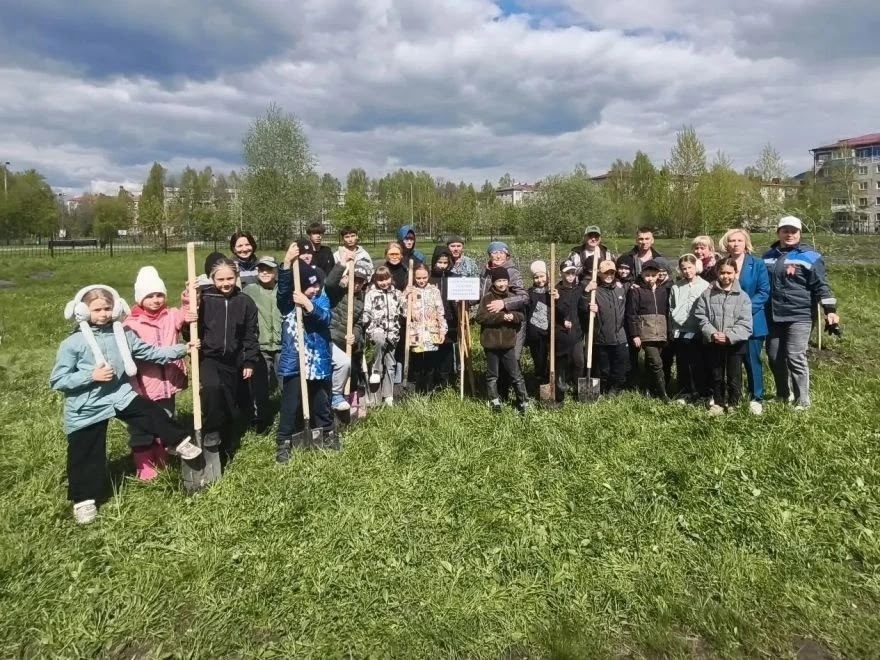 Ивы, сосны и сирень! Мы вновь поддержали акцию «Сад Памяти». В этом году Распадская высадит около 200 молодых деревьев и кустарников в городах Кузбасса.