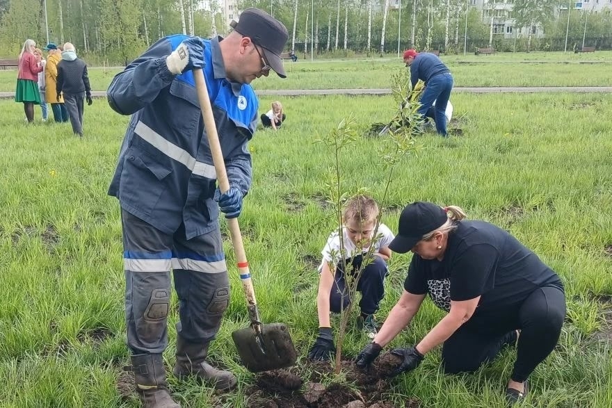 Ивы, сосны и сирень! Мы вновь поддержали акцию «Сад Памяти». В этом году Распадская высадит около 200 молодых деревьев и кустарников в городах Кузбасса.
