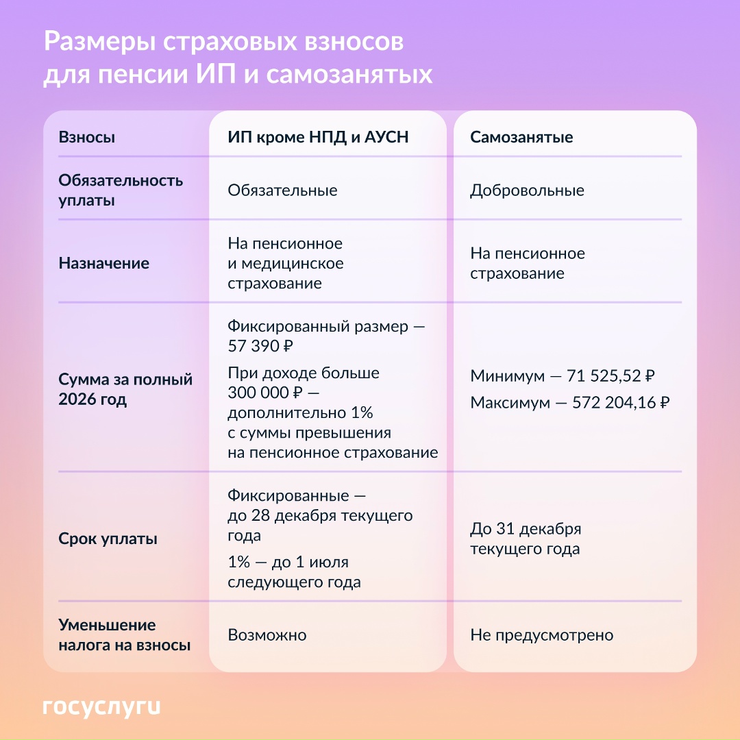 Сколько страховых взносов платят ИП и самозанятые