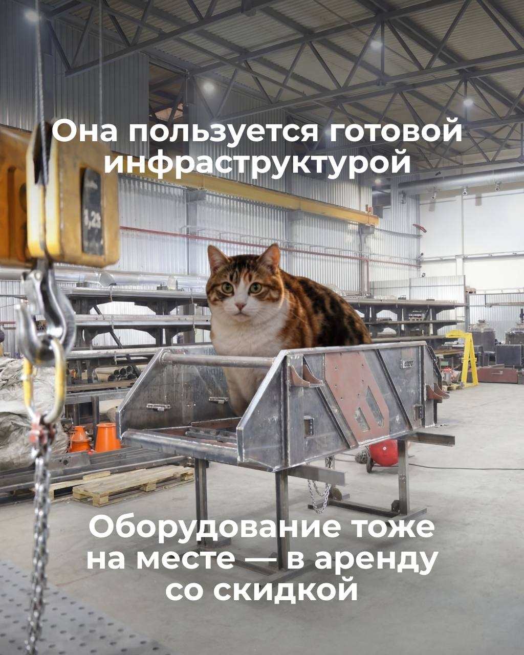 Производство без стройки с нуля — как такое возможно?