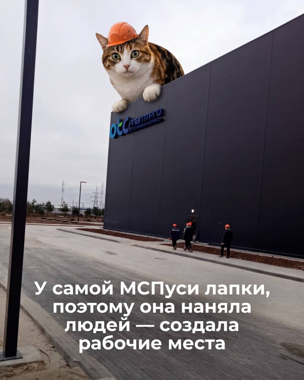 Производство без стройки с нуля — как такое возможно?