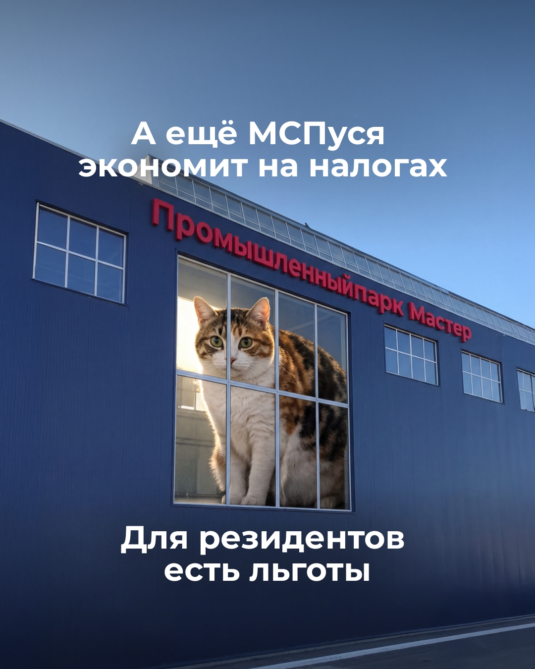 Производство без стройки с нуля — как такое возможно?
