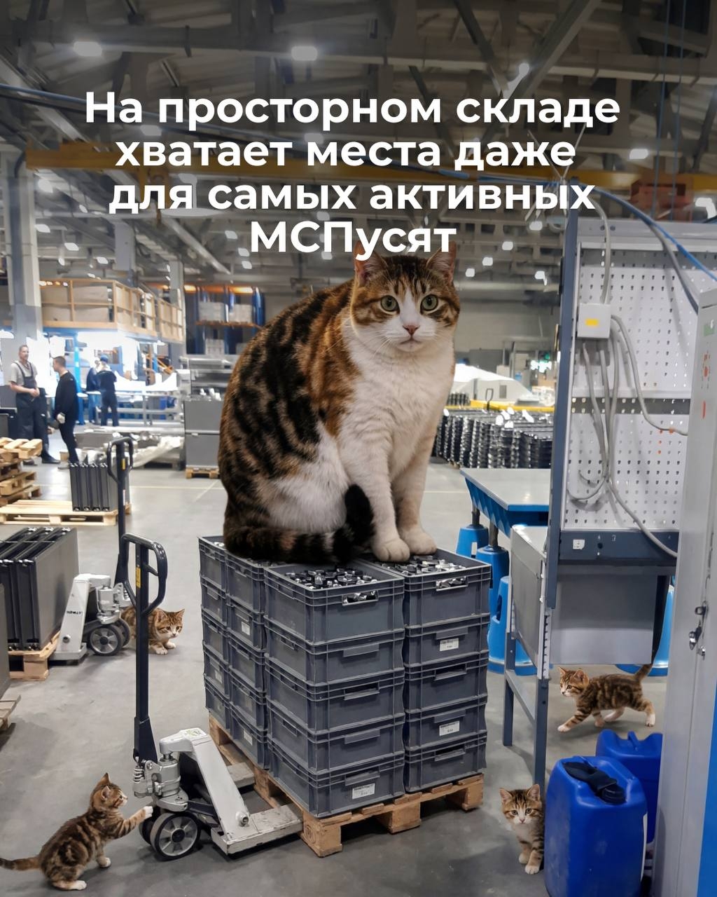 Производство без стройки с нуля — как такое возможно?