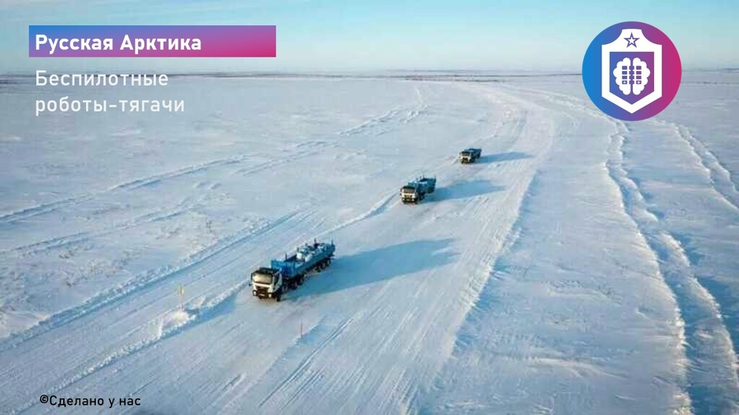 #Когнитивная_Витаминка Выпуск №336
23.05.2026