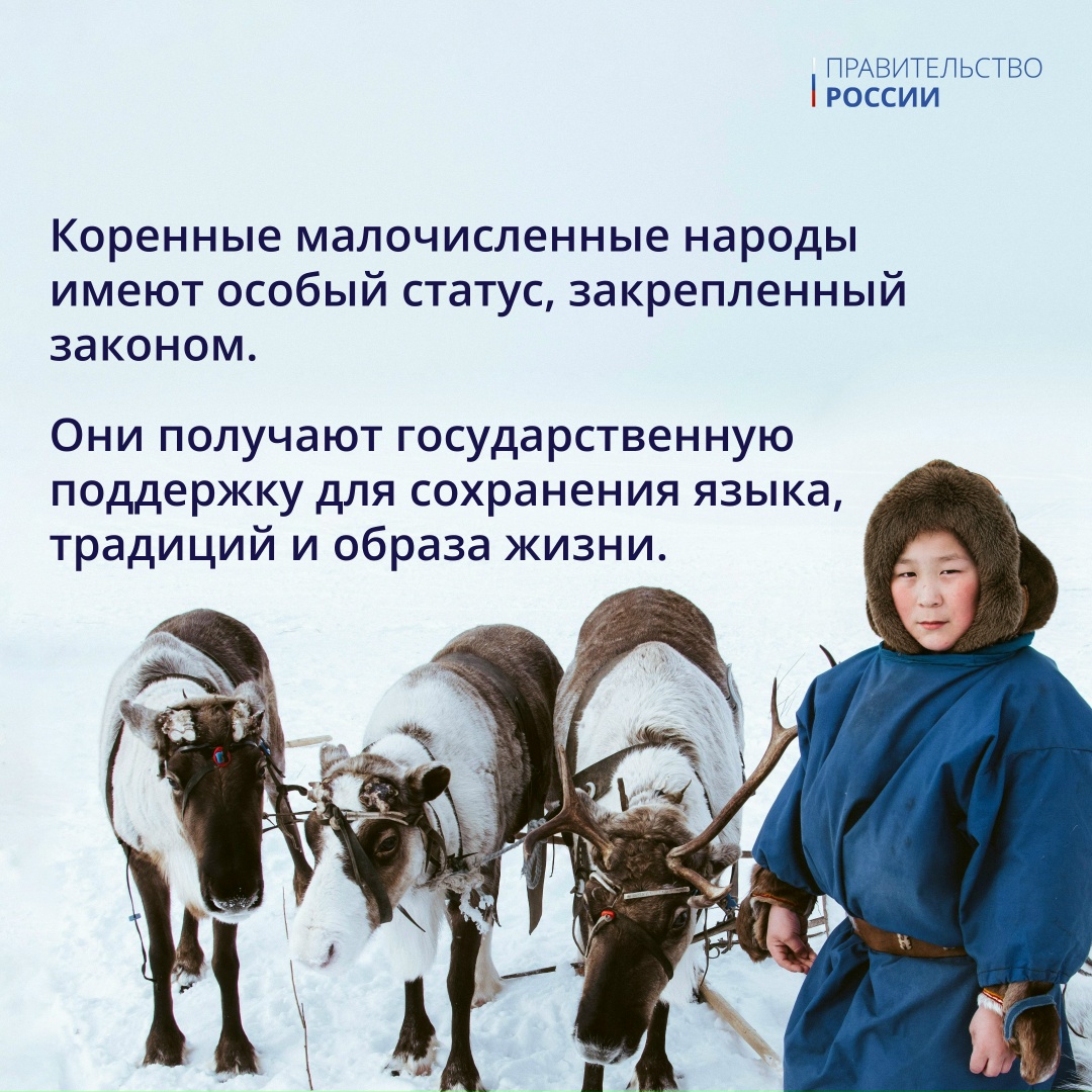 В новой рубрике #Единство, посвященной Году единства народов, рассказываем про этническое богатство нашей страны.