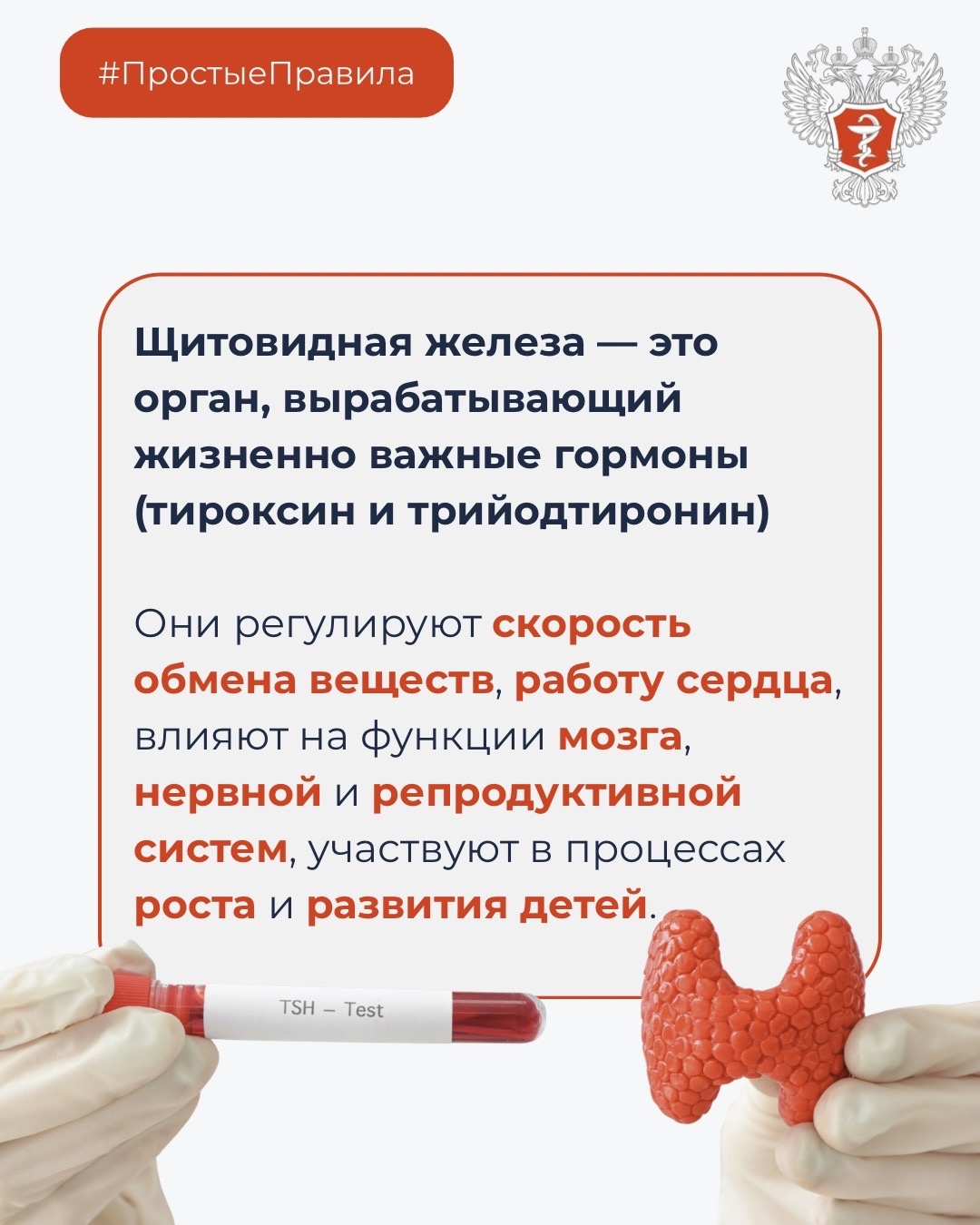#ПростыеПравила: Как обеспечить здоровье щитовидной железы?